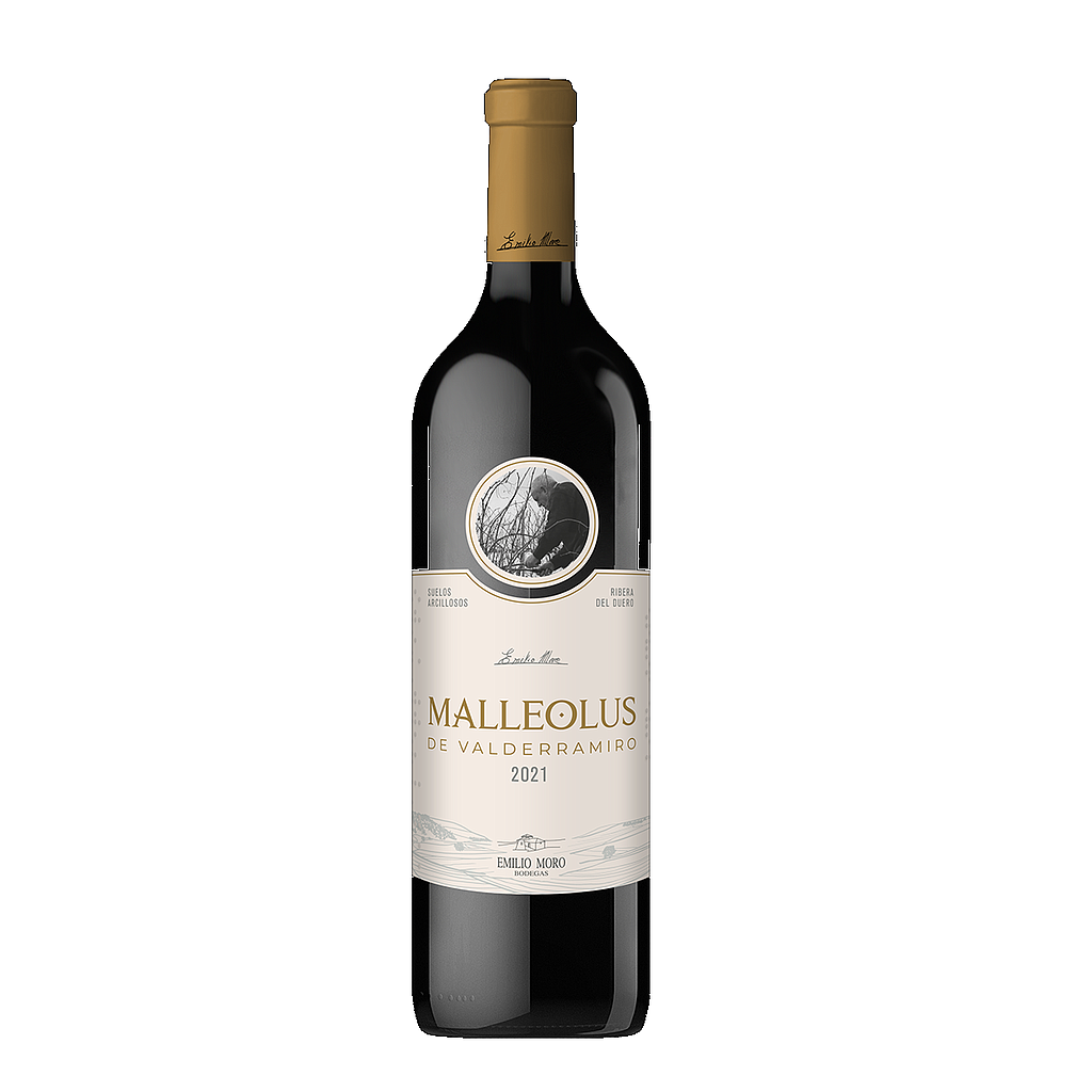 VINO MALLEOLUS VALDERRAMIRO 2021 750 ML