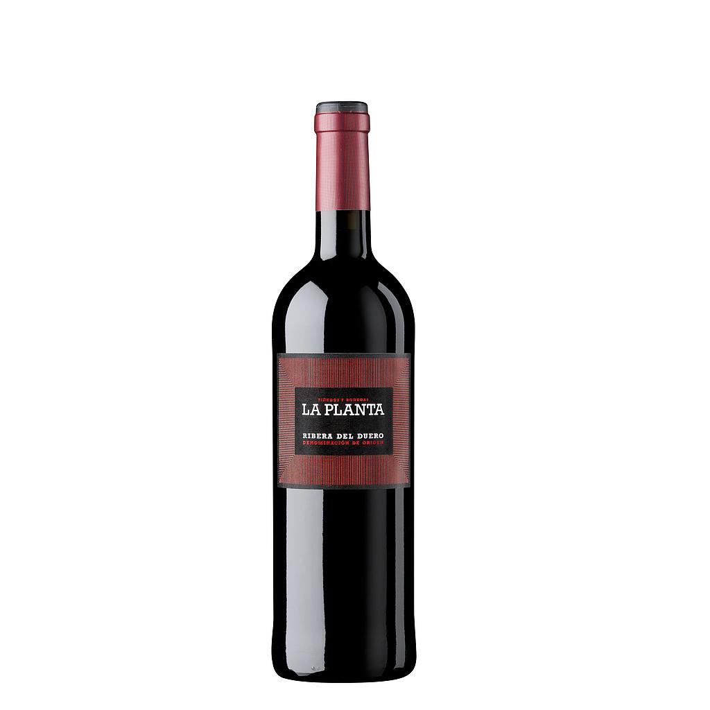 VINO ARZUAGA LA PLANTA 2023 750 ML