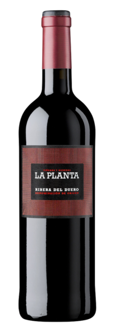 VINO ARZUAGA LA PLANTA 2024 750 ML