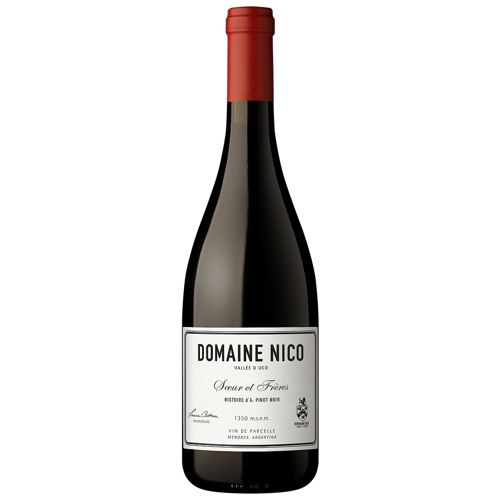 VINO DOMAINE NICO HISTOIRE DA PINOT NOIR 2024 750 ML