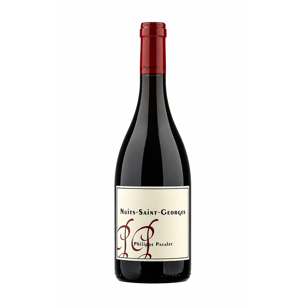 VINO PHILIPPE PACALET NUITS ST GEORGES ROUGE 2023 750 ML